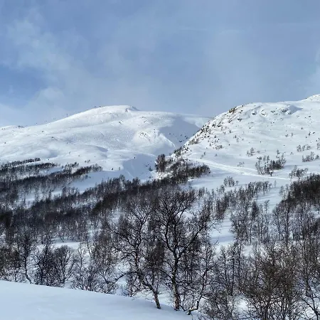 Vangslia, Oppdal. Lekker Med Inn/ski Ut Сasa de vacaciones