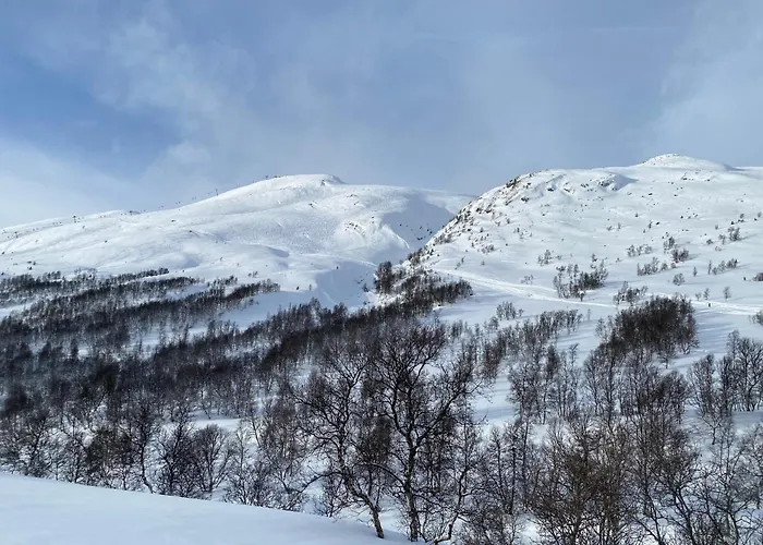 Vangslia, Oppdal. Lekker Med Inn/ski Ut Semesterbostad