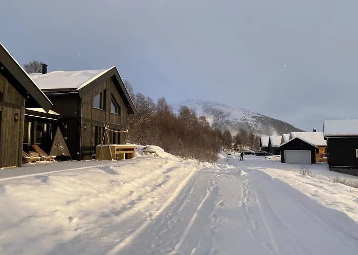 Дом отдыха Vangslia, Oppdal. Lekker Med Inn/ski Ut Оппдал